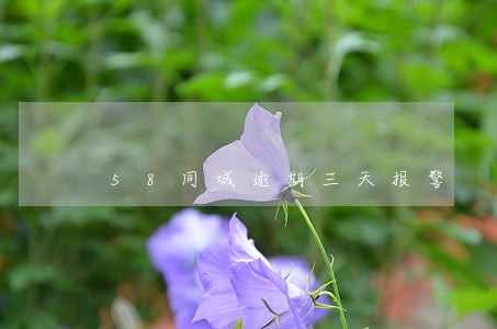 58同城逾期三天报警 58同城逾期三天报警