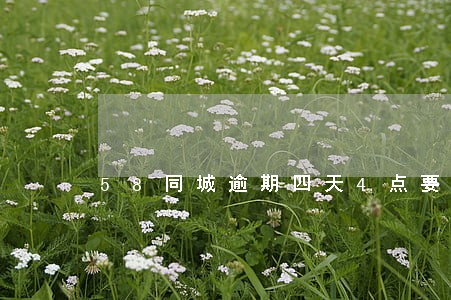 58同城逾期四天4点要上门协商 58同城逾期四天4点要上门协商