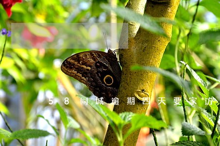 58同城逾期四天要家访 58同城逾期四天要家访