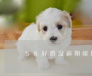 58好借没逾期能协商吗 58好借没逾期能协商吗