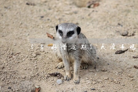 58好借逾期1天没事吧 58好借逾期1天没事吧