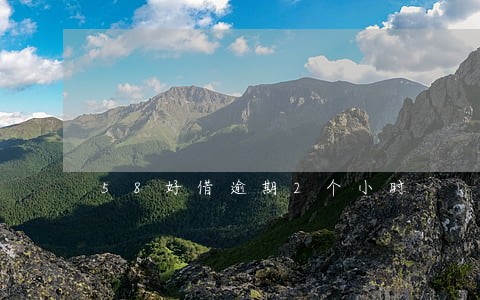 58好借逾期2个小时 58好借逾期2个小时