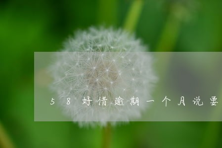 58好借逾期一个月说要上门 58好借逾期一个月说要上门