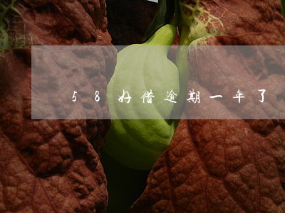 58好借逾期一年了 58好借逾期一年了