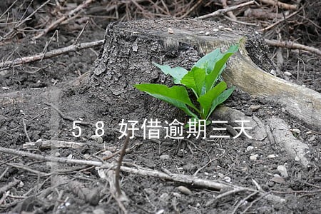 58好借逾期三天