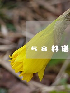 58好借逾期三次会怎么样 58好借逾期三次会怎么样