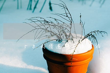 58好借逾期不接电话 58好借逾期不接电话