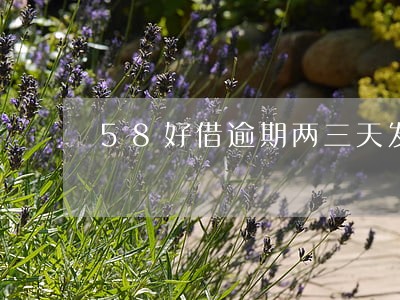 58好借逾期两三天发短信 58好借逾期两三天发短信