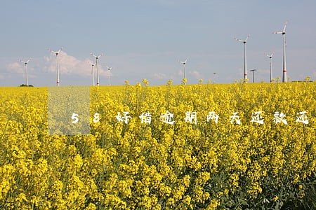 58好借逾期两天还款还能再借吗 58好借逾期两天还款还能再借吗