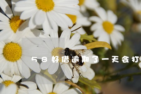 58好借逾期了一天会打电话吗 58好借逾期了一天会打电话吗