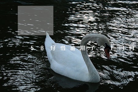 58好借逾期了会上门吗 58好借逾期了会上门吗