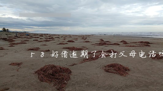 58好借逾期了会打父母电话吗 58好借逾期了会打父母电话吗