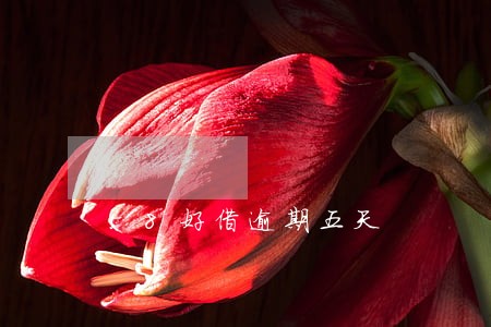 58好借逾期五天 58好借逾期五天