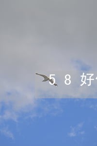 58好借逾期会打电话给家人吗 58好借逾期会打电话给家人吗