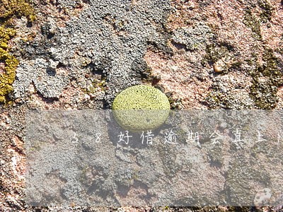 58好借逾期会真上门吗