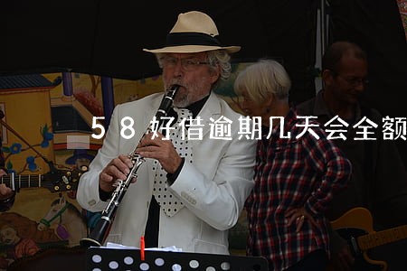 58好借逾期几天会全额还款吗 58好借逾期几天会全额还款吗