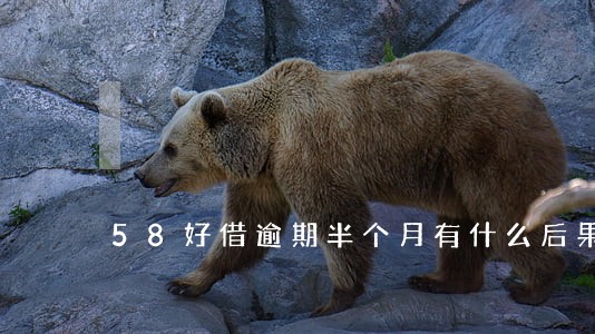 58好借逾期半个月有什么后果 58好借逾期半个月有什么后果