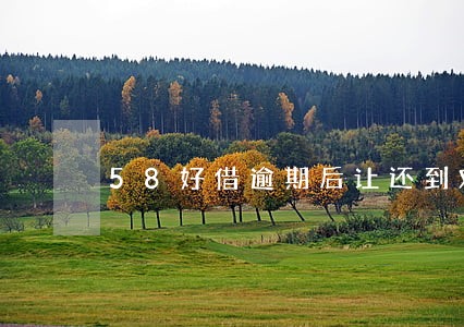 58好借逾期后让还到对公账户 58好借逾期后让还到对公账户
