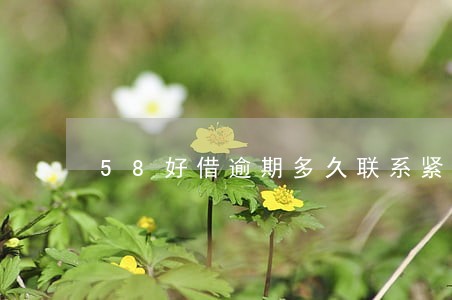 58好借逾期多久联系紧急联系人 58好借逾期多久联系紧急联系人
