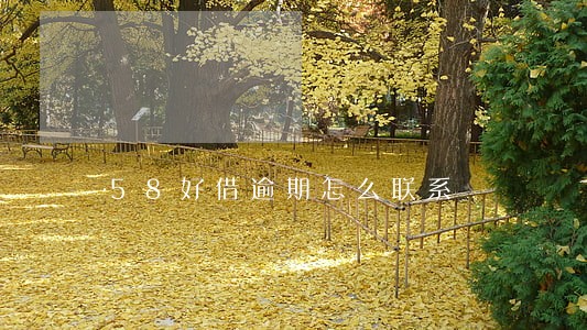 58好借逾期怎么联系 58好借逾期怎么联系