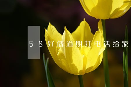 58好借逾期打电话给家里 58好借逾期打电话给家里