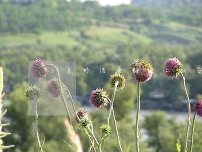 58好借逾期说上公安报案s 58好借逾期说上公安报案s