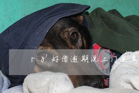 58好借逾期说上门是真的吗 58好借逾期说上门是真的吗