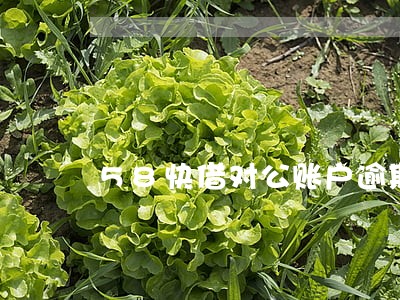 58快借对公账户逾期 58快借对公账户逾期