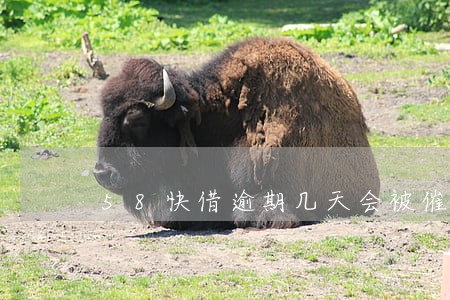 58快借逾期几天会被催款 58快借逾期几天会被催款