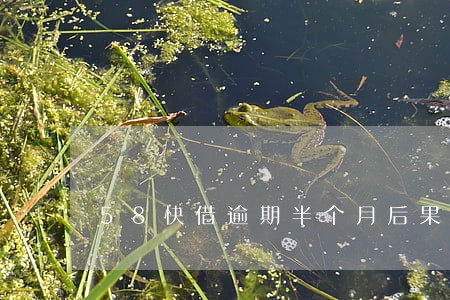 58快借逾期半个月后果 58快借逾期半个月后果