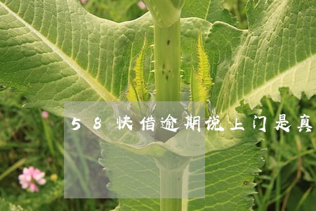 58快借逾期说上门是真的吗 58快借逾期说上门是真的吗