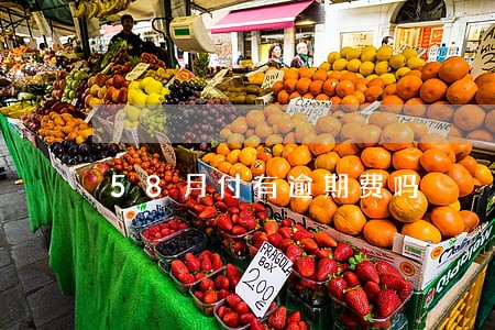 58月付有逾期费吗 58月付有逾期费吗