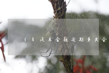 58汽车金融逾期多久会去拖车 58汽车金融逾期多久会去拖车