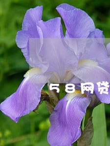 58网贷借款逾期 58网贷借款逾期