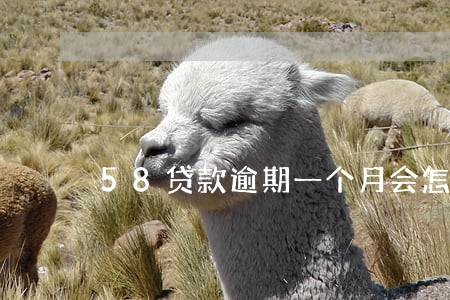 58贷款逾期一个月会怎么样 58贷款逾期一个月会怎么样