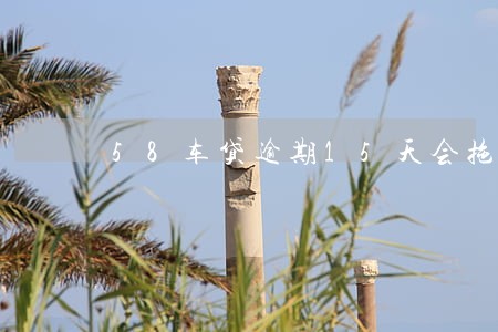 58车贷逾期15天会拖车吗 58车贷逾期15天会拖车吗