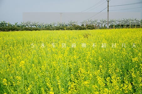 58车贷逾期不超过几天 58车贷逾期不超过几天
