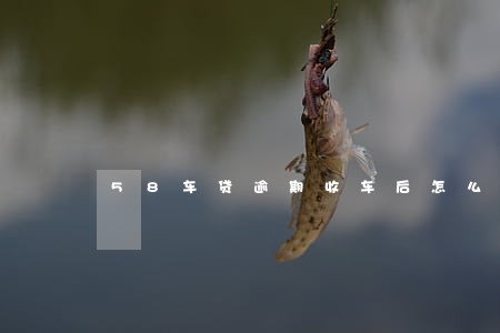 58车贷逾期收车后怎么办 58车贷逾期收车后怎么办