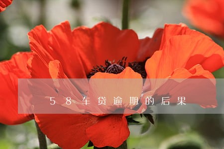 58车贷逾期的后果 58车贷逾期的后果