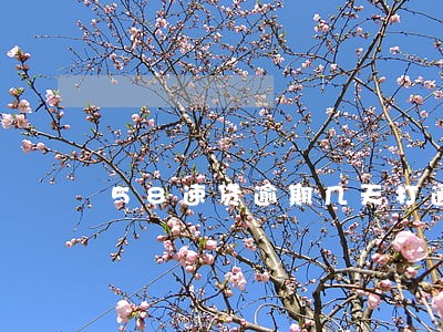 58速贷逾期几天打通讯录 58速贷逾期几天打通讯录