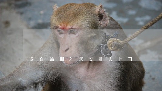 58逾期2天安排人上门 58逾期2天安排人上门