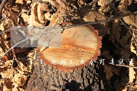 58逾期3天会打通讯录吗 58逾期3天会打通讯录吗