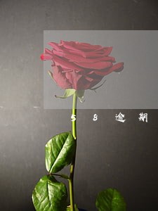 58逾期7天上门结清 58逾期7天上门结清