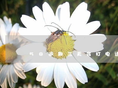 58逾期三天会打电话吗 58逾期三天会打电话吗