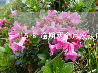 58逾期两个月没接电话 58逾期两个月没接电话