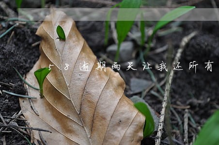 58逾期两天让我还所有的钱 58逾期两天让我还所有的钱