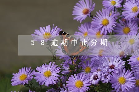 58逾期中止分期