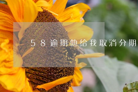 58逾期他给我取消分期合理吗 58逾期他给我取消分期合理吗