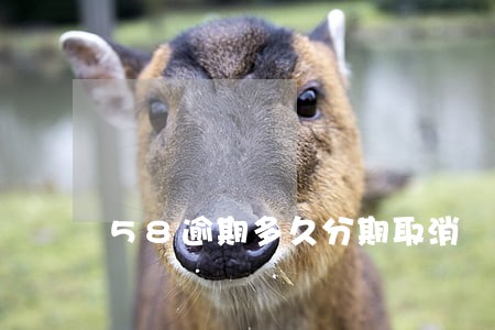 58逾期多久分期取消