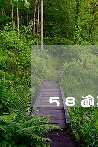 58逾期委派当地工作人员 58逾期委派当地工作人员